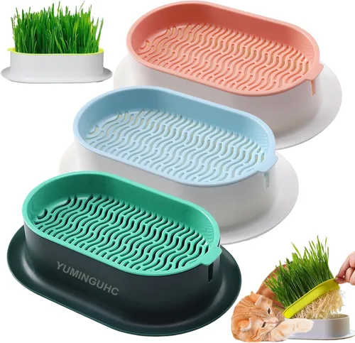 3 Macetas de Hierba para Gatos (Sin Semillas Incluidas) Bandejas de Plantación de Pasto de Trigo Kits de Cultivo Hidropónico de Hierba para Gatos de