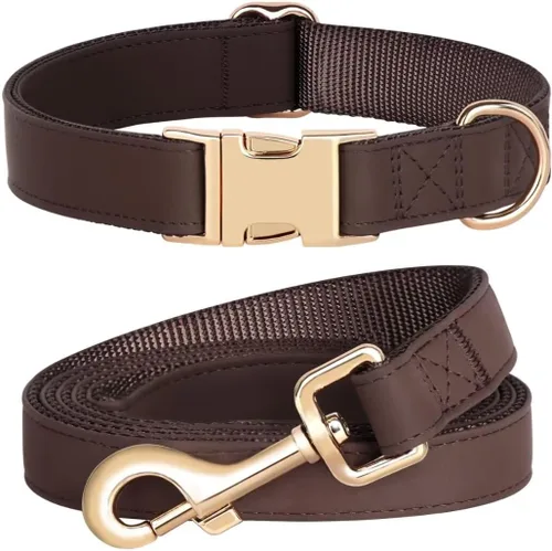 PET ARTIST Juego de collar y correa de piel sintética suave para perro, brillante y elegante, juego de correa y collar de piel sintética de 5 pies,