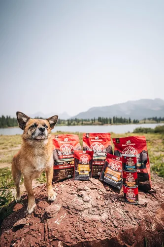 Miniatura 9 de Stella & Chewy's Wild Red - Comida seca para perros, cruda y recubierta, con alto contenido de proteínas, receta de carne roja sin cereales