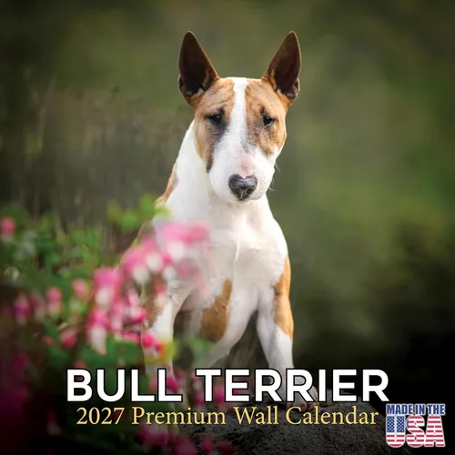 Miniatura 215 de Calendario 2025 2026 de cachorros Cocker Spaniel - Calendario mensual de pared de raza de perro - 12" x 24" abierto - Papel grueso sin sangrado