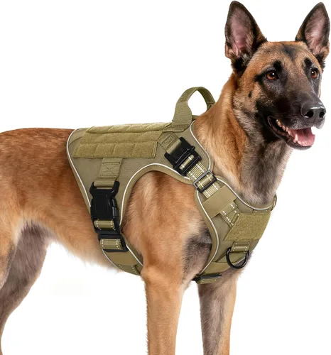 Miniatura 28 de rabbitgoo - Arnés táctico para perros pequeños, arnés resistente para mascotas con asa, chaleco de servicio sin tirones para razas pequeñas, chaleco
