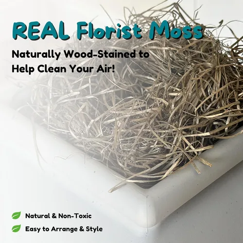 Miniatura 9 de Good Pet Stuff Caja de arena oculta para gatos con planta artificial, maceta cuadrada decorativa para patio, control de olores con filtro de carbón
