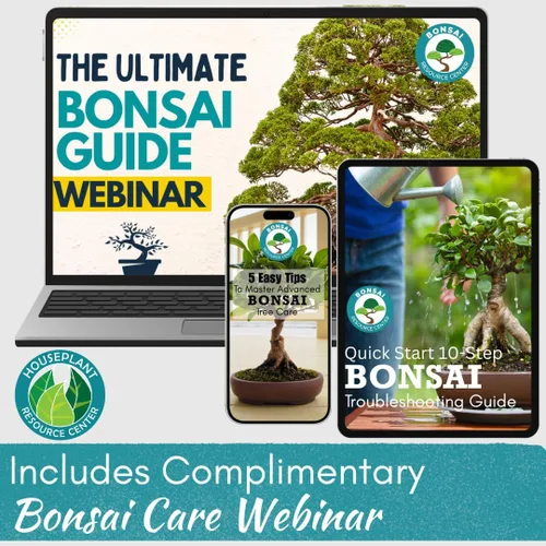 Miniatura 9 de Suelo de bonsái 100% orgánico – Mezcla para macetas totalmente natural y bien drenante para bonsáis saludables, suculentas, cactus y kokedama