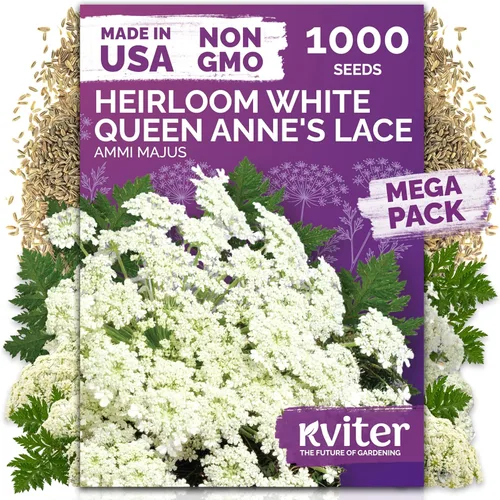 Miniatura 33 de KVITER 1600 semillas de pensamiento de los gigantes suizos para plantar (Viola wittrockiana) - Paquetes de semillas de colores mixtos Flores