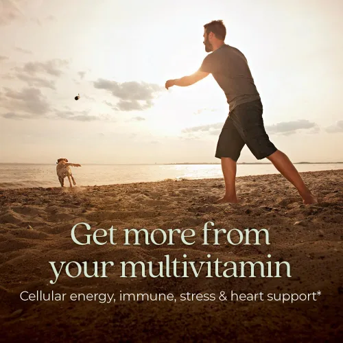 Miniatura 2 de New Chapter Multivitamínico para hombres, B6, B12 extra, D3, vitamina C y zinc, para el sistema inmunológico, el corazón, la energía celular