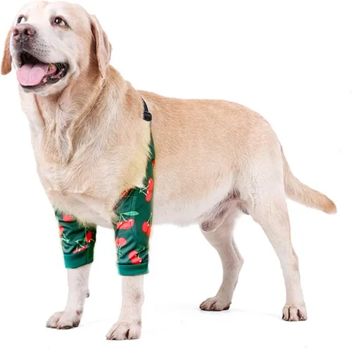 Miniatura 24 de Protector de codo para perro, coderas con almohadilla de malla para perros medianos y grandes para evitar lamer heridas (automóvil, 4XL)