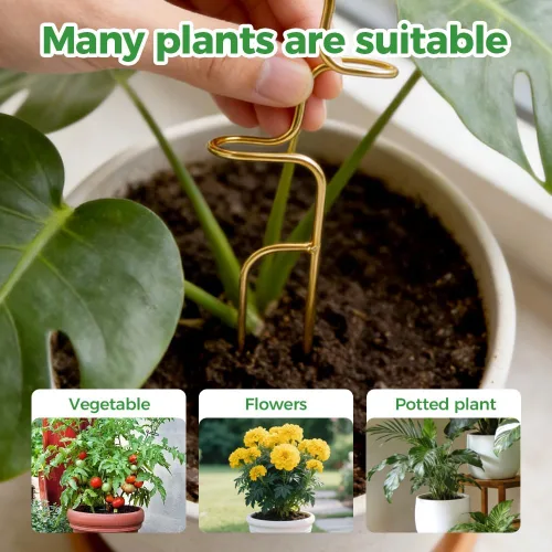 Miniatura 4 de Estacas para plantas, 2026 nuevas estacas de soporte para plantas de interior, soportes para escalada de tallo en maceta, soporte alto para plantas