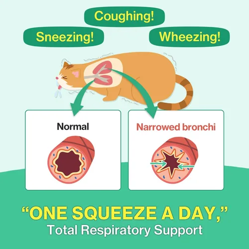 Miniatura 2 de Doctor By Suplementos Bronquiales para el Aliento de Gatos Tratamiento para Estornudos de Gatos Asma Resfriado Tos Alivio Nasal Apoyo Respiratorio e