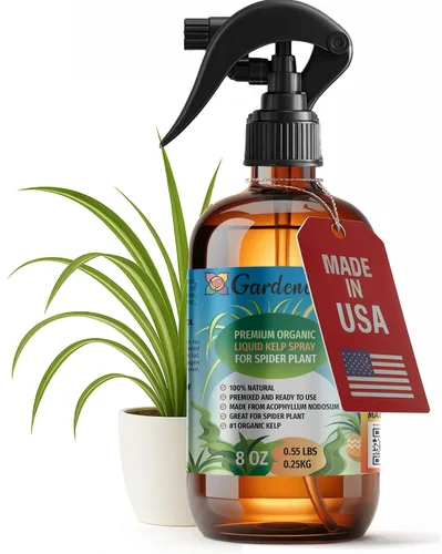 Miniatura 19 de GARDENERA Spray orgánico profesional de algas marinas para plantas AGLAONEMA – 8 oz – Rocío fertilizante de algas marinas y algas marinas totalmente