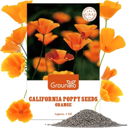 Groundio Semillas de amapola naranja de California, semillas de flores silvestres de 1 onza para plantar al aire libre, cultivadas en los Estados