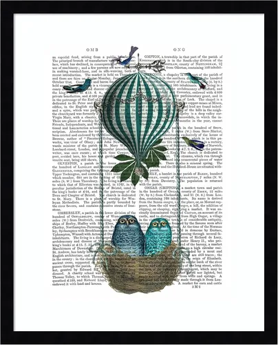 Miniatura 10 de Amanti Art Fab Funky - Póster enmarcado para pared, diseño de nido de globo de búho de 24 x 20 pulgadas, arte de pared de animales, decoración