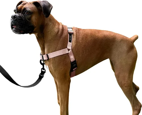 Miniatura 11 de ShawnCo Dream Walk Arnés para Perros Sin Tirones - Ajustable, Cómodo, Fácil de Usar, Cabestro para Mascotas para Ayudar a Detener los Tirones