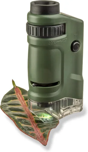 Miniatura 8 de Carson MicroBrite - Microscopio de bolsillo con luz LED 20x-40x para aprender, educar y explorar, juego de 6 (MM-24MU)