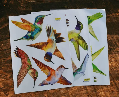 Miniatura 6 de Calcomanías anticolisión para ventana de alerta de pájaros, para evitar golpes de pájaros en el cristal de la ventana, juego de 12 colibríes