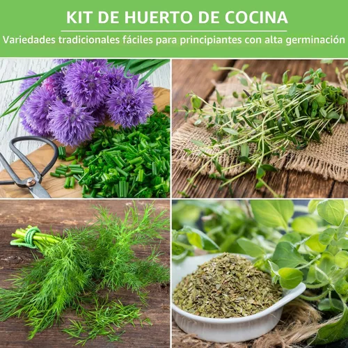 Miniatura 3 de Paquete variado de semillas de hierbas 10 hierbas culinarias para plantar – albahaca, cilantro, lavanda, eneldo, perejil, orégano, tomillo