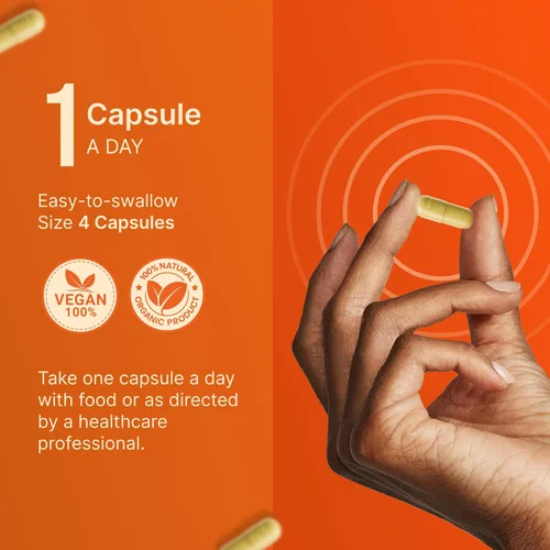 Miniatura 8 de INVITA L-metilfolato de 15 mg – Folato de metilo activo formulado por un médico – Suplemento 5-MTHF para la energía, el estado de ánimo y la salud