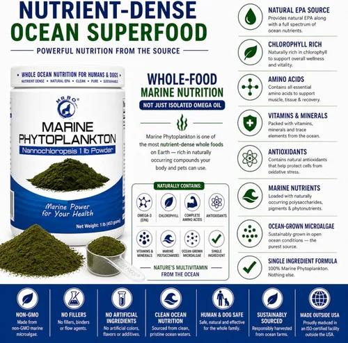 Miniatura 4 de Polvo de fitoplancton marino de 1 libra - Superalimento oceánico denso en nutrientes para humanos y perros - Fuente natural de EPA - Microalgas