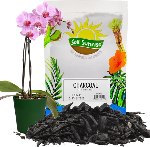 Soil Sunrise Carbón Hortícola para Plantas de Interior (1 Cuarto de Galón) Aditivo de Suelo de Madera Dura para Orquídeas, Terrarios y Jardinería