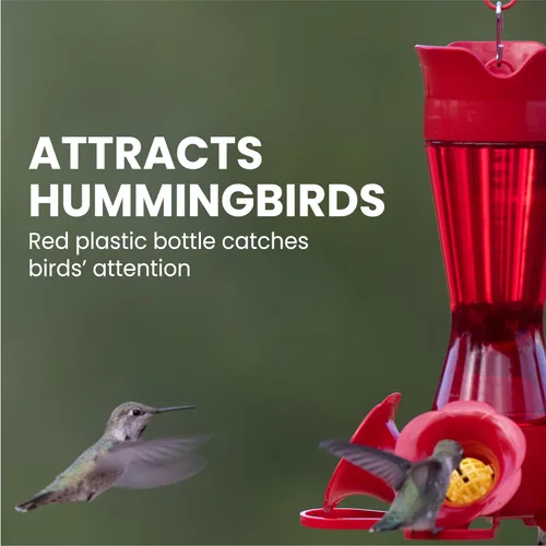 Miniatura 2 de Perky-Pet Comedero rojo para colibríes, diseño de cintura para facilitar la alimentación, comedero para colibríes para exteriores, 403CP, capacidad