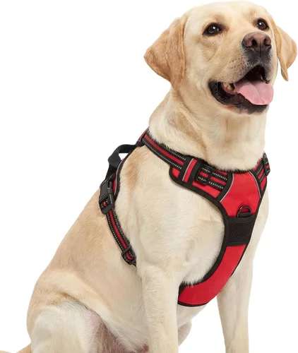 Miniatura 11 de Funfox Arnés para perro sin tirones, chaleco ajustable para mascotas con asa de control y clip frontal, diseño reflectante para perros pequeños