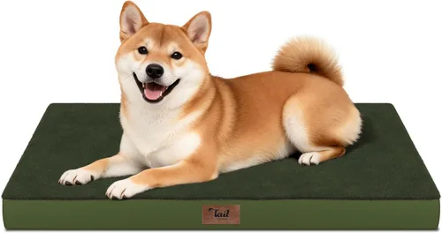 Miniatura 101 de Cama ortopédica de felpa para perros y cachorros medianos, camas impermeables para perros de 30 x 20 pulgadas con funda extraíble lavable, tapete