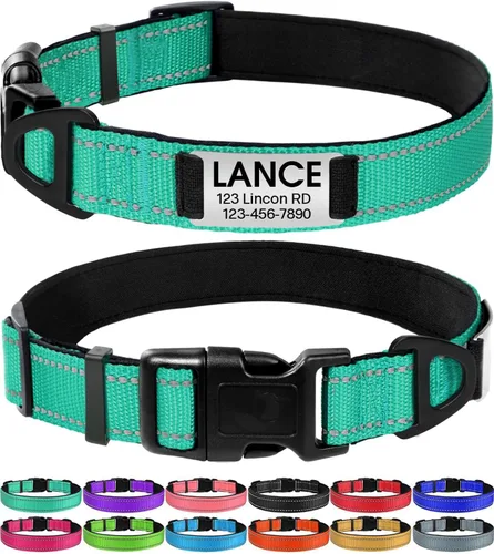 Joytale Collares para perros personalizados, collar de nailon reflectante con placa de nombre grabada, personalizado para perros medianos, verde