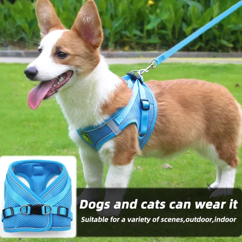 Miniatura 5 de Juego de arnés y correa para perros pequeños, arnés reflectante ajustable sin tirones, arnés transpirable suave para cachorros y perros pequeños