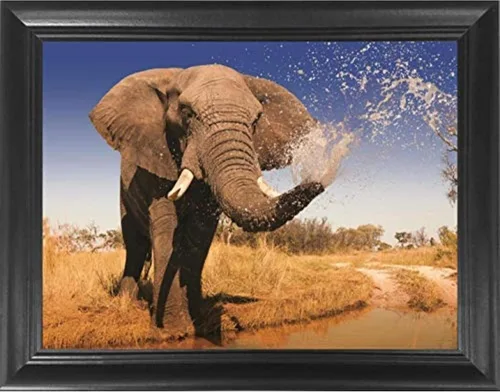 Miniatura 36 de Póster 3D de león, tigre y lobo con lengua hacia fuera 11.8 x 15.7 pulgadas Pósteres e imágenes de animales salvajes Regalos de recuerdos