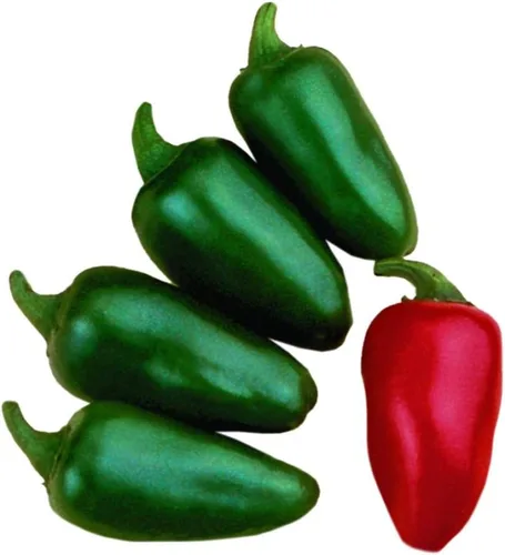 Park Seed Variedad de semillas de plantas de chile picante, fáciles de cultivar, perfectas para jardín de primavera, fajita caliente de cocina,
