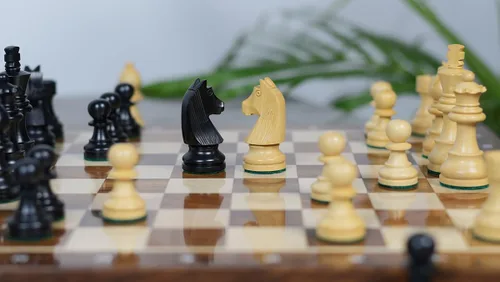 Miniatura 6 de Tournament Series Staunton Piezas de ajedrez con caballero alemán en boj ebonizado y boj - Rey ponderado de 3 pulgadas Juego de ajedrez de lujo