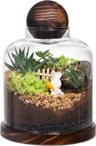 Yangbaga Terrario grande de vidrio para plantas suculentas, casa de terrario para plantas/bola de musgo/tanque de peces de cristal, mini mesa con