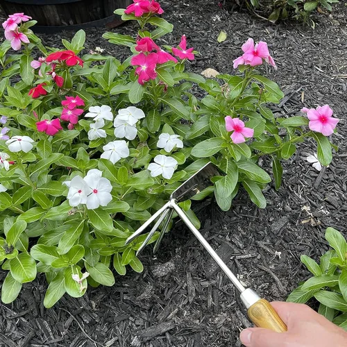 Miniatura 4 de Garden Guru - Herramienta cultivadora de mano ecológica, 100% acero inoxidable reciclado, resistente a la corrosión, mango ergonómico de madera