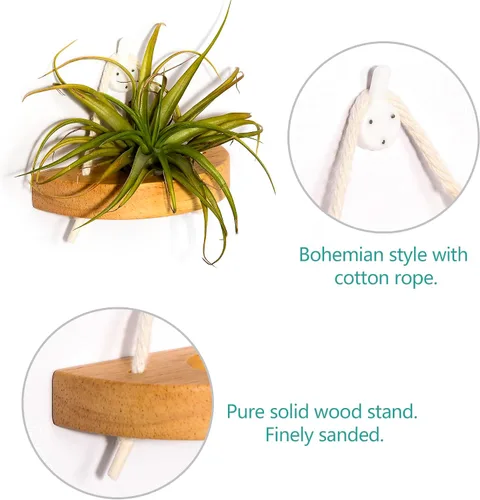 Miniatura 4 de soporte para plantas de aire, pequeño soporte de exhibición para plantas de aire. Montaje en pared para ahorrar espacio, decoración de pared.