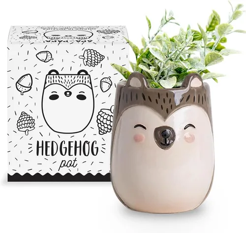 Miniatura 7 de maceta de cerámica con forma de gatito para interiores y exteriores, 3 x 3 x 4 pulgadas, diseño lindo pintado a mano en Argentina, con conveniente