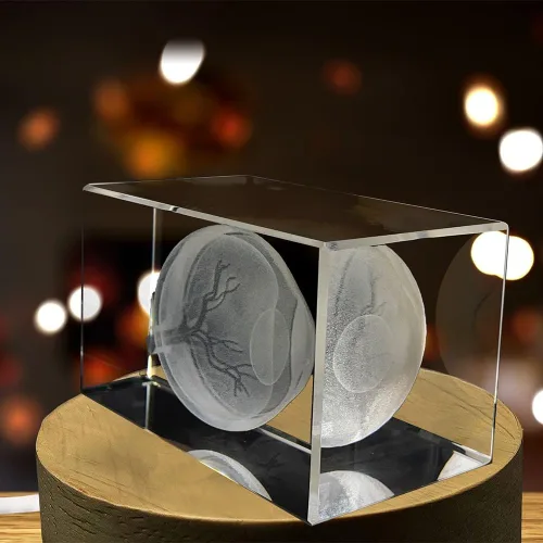 Miniatura 5 de Arte de ojos para oftalmólogos Recuerdo de cristal grabado en 3D Regalo para médico Coleccionable Recuerdo Regalo personalizado con foto