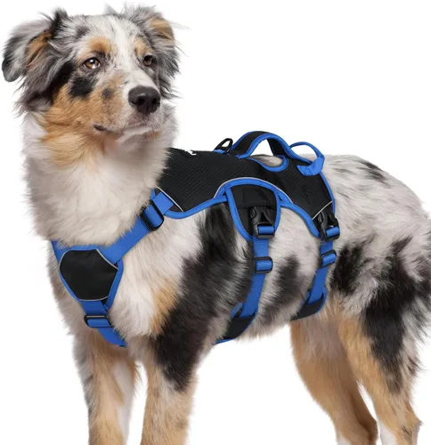 Miniatura 24 de rabbitgoo - Arnés para perro a prueba de fugas, arnés para mascotas acolchado suave de cuerpo completo, chaleco reflectante ajustable sin tirones