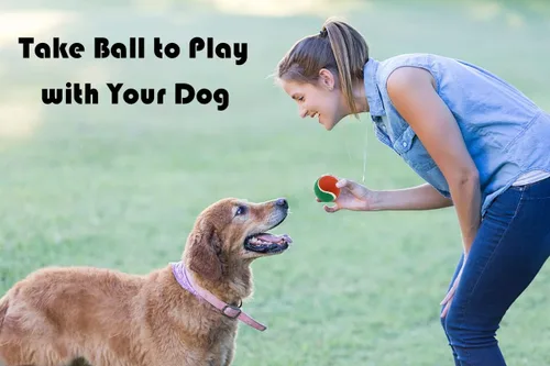 Miniatura 5 de Pelotas de tenis de Navidad para perros, 8 unidades, pelota de tenis chirriante, juguete interactivo para cachorros verdes y rojos, juguetes