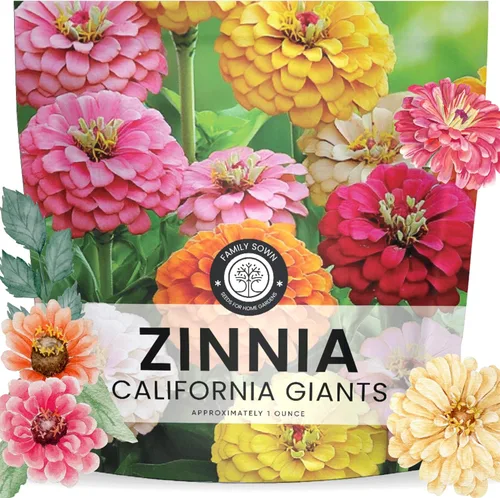 Miniatura 8 de Zinnia California Giants - Sobre grande de 2,500 mg - 250 semillas de flores para plantar - Zinnia elegans