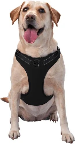 Miniatura 2 de Arnés para perro personalizado con nombre y número de teléfono, chaleco personalizado para perro, arnés reflectante ajustable para mascotas, beige, S