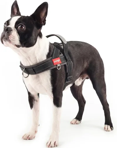 Miniatura 10 de Arnés para perro sin tirón con asa, chaleco reflectante ajustable Corgi, arnés para mascotas acolchado con malla de aire transpirable con clip