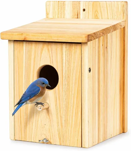 Casas de madera para pájaros para pajareras exteriores, nido Bluebird House para cardenales, pinzón, Wren, golondrina, para ver el jardín, 1B