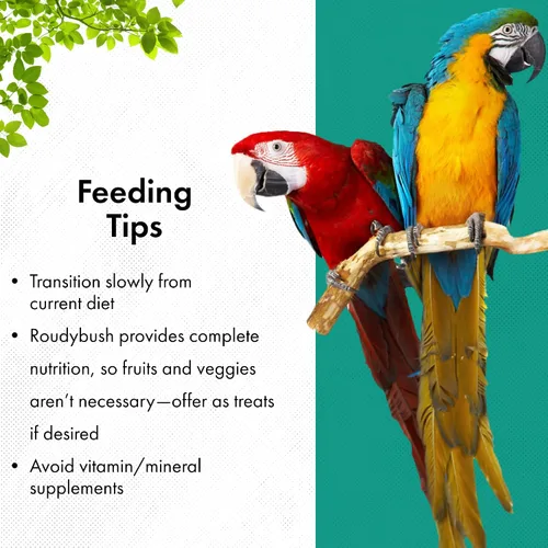 Miniatura 6 de RoudyBush Alimento bajo en grasa para pájaros y pollitos adultos, comida diaria para aves, pellets hechos con maíz, trigo y soja, pellets bajos