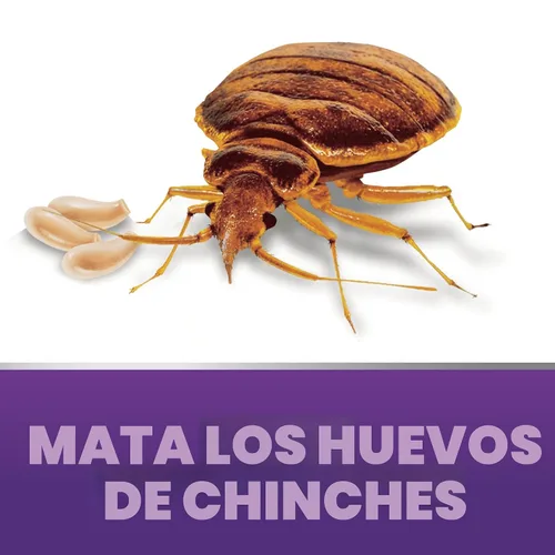 Miniatura 3 de Ortho Home Defense Max Bed Bug & Flea Killer Powder – Pulgas y chinches en polvo, aplicar a grietas y grietas en marcos de cama y de ventana Aerosol