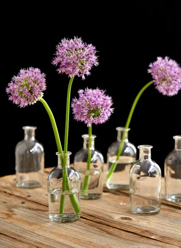 Miniatura 3 de Serene Spaces Living (Paquete de 6) Jarrones de brotes para frascos de boticario, botellas de vidrio decorativas, centros de mesa para recepción