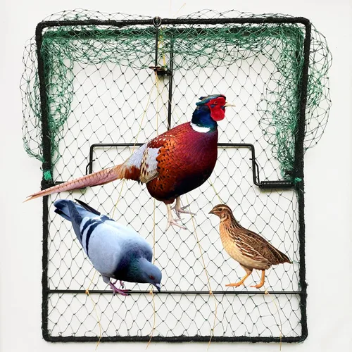 Miniatura 9 de Trampa para Aves Codorniz Paloma Control de Animales Vivos Primavera Aprisionamiento de Estorninos y Pollos