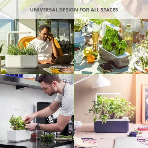 Miniatura 6 de Click & Grow Smart Garden 3 - Kit de jardinería para interiores (incluye cápsulas de albahaca)