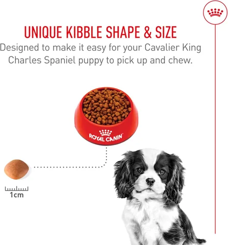 Miniatura 4 de Royal Canin Breed Health Nutrition Cavalier King Charles Spaniel - Alimento seco para cachorros, bolsa de 3 libras