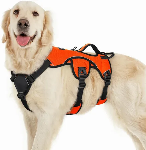 Miniatura 35 de rabbitgoo - Arnés para perro a prueba de fugas, arnés para mascotas acolchado suave de cuerpo completo, chaleco reflectante ajustable sin tirones