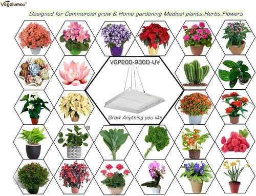 Miniatura 4 de VGP2000 - Luz LED de crecimiento con diodos UV IR real, 200 vatios, 3 x 3, 4 x 4 pies, cobertura solar de espectro completo, lámpara de cultivo LED