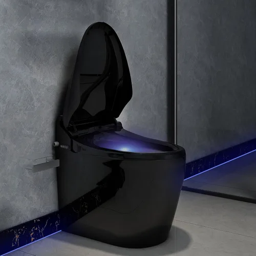 Miniatura 9 de YOURLITE Asiento de inodoro con bidé, asiento de inodoro alargado con agua caliente, bidé con asiento calentado y control remoto, boquilla